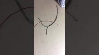 What a vandalized lightning cable looks like....