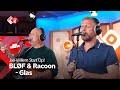 BLØF & Racoon - Glas | NPO Radio 2
