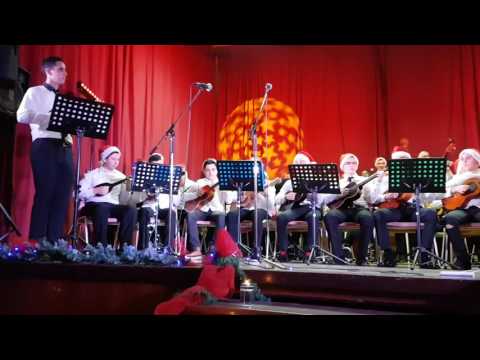 Novogodišnji koncert TŠ Batorek 2016.