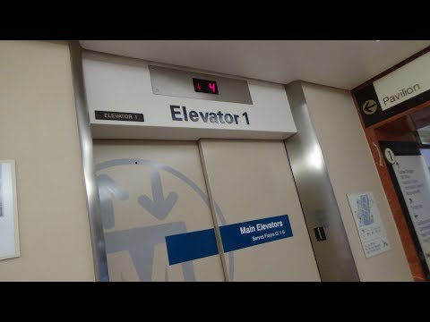 Schindler TXPress Modded "M" Elevators at UPMC Passavant Hospital, McCandless, PA