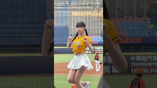 【Passion Sisters】#少鹽#王威晨應援曲#台湾チアリーディングチーム#中華職棒#CPBL#洲際#20241005