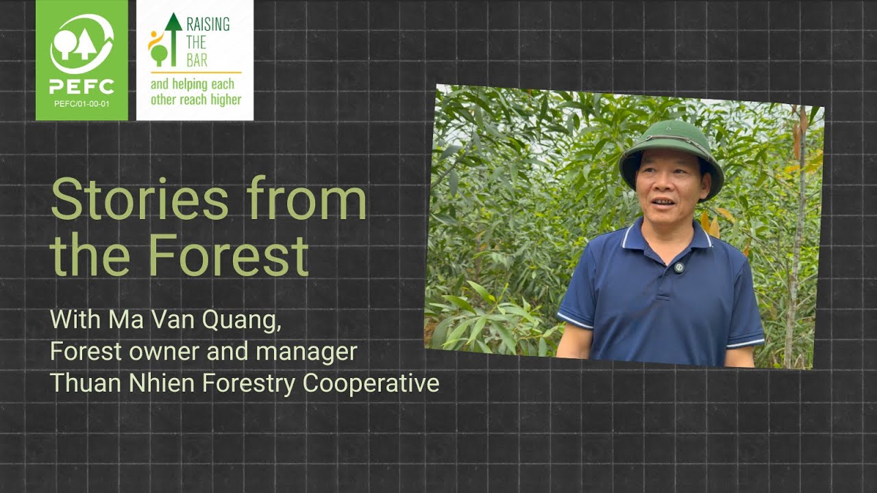 In the forest with Ma Văn Quang: from barren hills to thriving forests