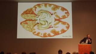 The Life and Scientific Times of Cajal: A Talk with Larry W. Swanson PhD