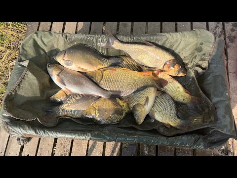 Crap la method. Balta Brabeți  23.03.2023