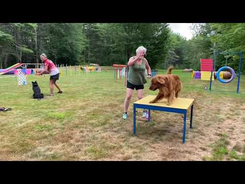 Open Pairs Event 109277 Course 1 Gus Super G 2020