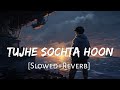 Tujhe Sochta  Hoon [Slowed+Reverb] Jannat 2 | Emraan Hashmi | Music Lovers