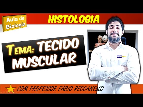 Muscle tissue - complete lesson! Types of muscles and muscle contraction