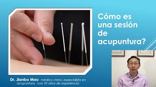 Cómo es una sesión de acupuntura I Dr. Mao