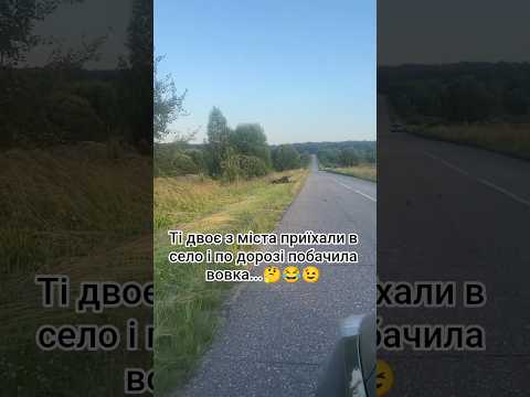 ті двоє з міста приїхали в село і по дорозі побачила вовка #село #шортс #гумор #кабан