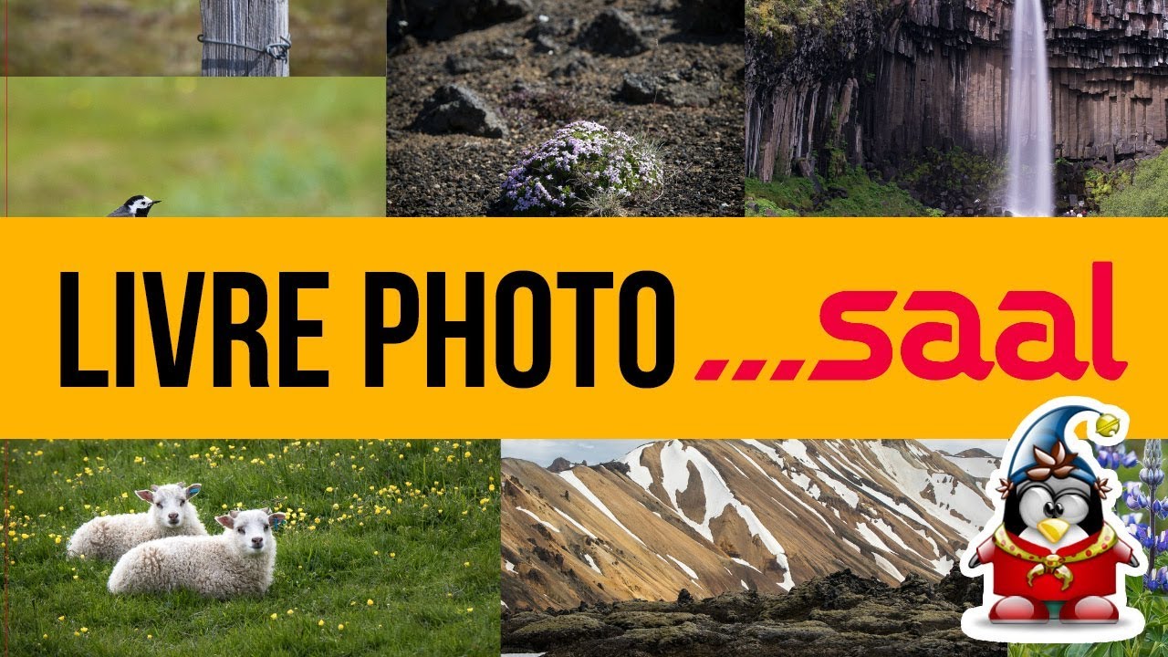 Test d'un livre Photo Saal Digital - La création