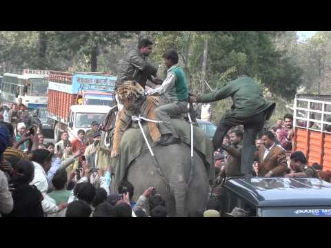 Maneater of Sunderkahl