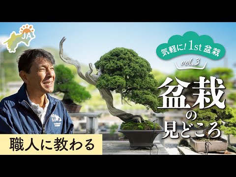 , title : '【気軽に！1st盆栽 vol.3】職人に教わる盆栽鑑賞時の見どころ'