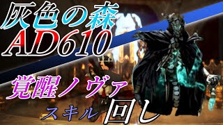 【黒い砂漠】D337覚醒ノヴァin灰色の森 スキル回しも解説！