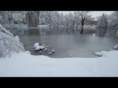 Kurzer Ausflug in den Schnee 4k