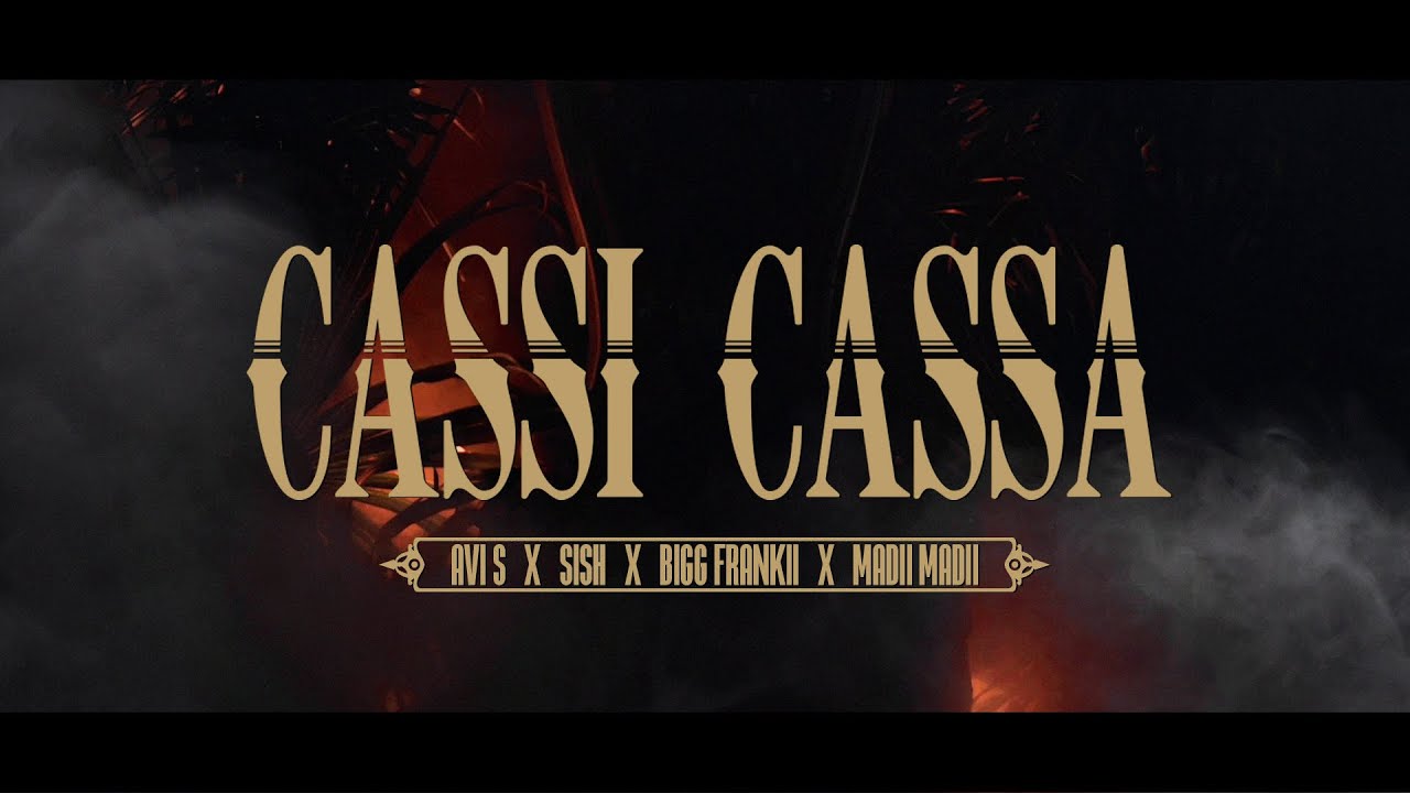 Video Asset Preview