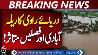 Download lagu Ravi River Flood | Kamalia Update | Crops Destroyed | Punjab Flood Disaster | Pakistan news mp3