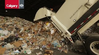 Recycling Safety: Keeping Hazardous Materials Out of the Blue Cart