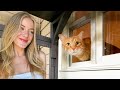Building A Catio For An Orange Cat