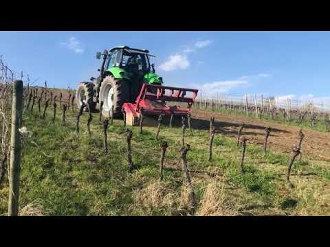 Mulchen von Reben mit Forstmulcher