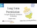 Long Term Potentiation | Synaptic Plasticity | Cellular Basis Of Learning & Memory || #mapsychology