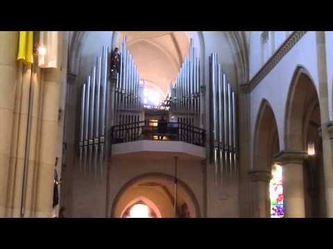 Orgelkonzert mit Vincent de Vries in Mettingen