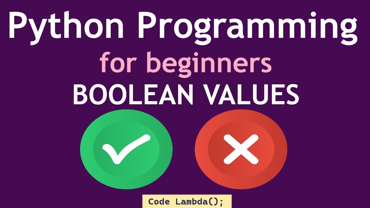 Python Programming for beginners - Boolean Values (2024)