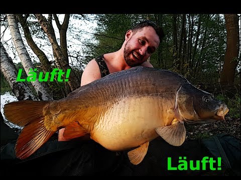 Karpfenangeln vom Boot im Frühjahr #3 | Flach angeln, gut fangen!