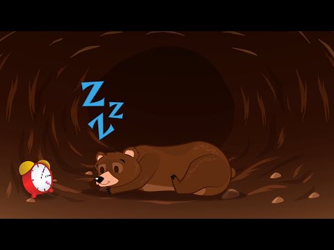 STARY NIEDŹWIEDŹ MOCNO ŚPI – Piosenki dla dzieci   SING SING