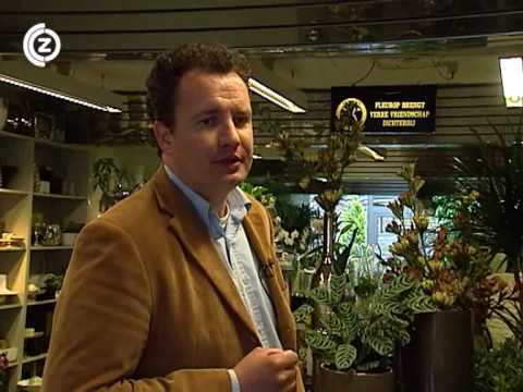 Maikel Harte - De Zeeuwse Top 40