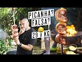 PICANHA I GOT SCAMMED Shorts