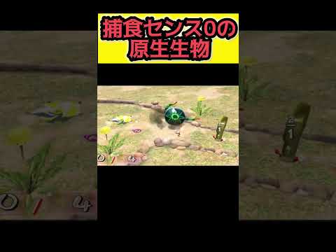1匹食べるだけでいいのに失敗続きのびっくり菊【ピクミン2 PIKMIN2】 #pikmin2 #pikmin #ピクミン