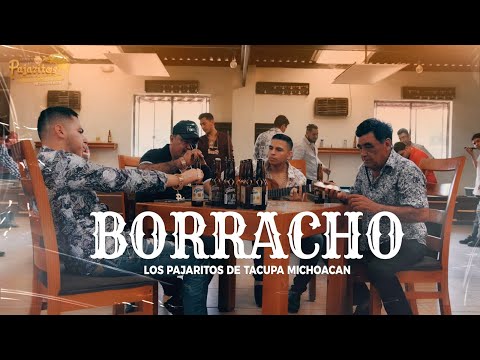 Los Pajaritos de Tacupa - Borracho (Estreno 2024)🎶
