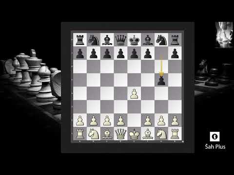 Borgova Odbrana – Greške u Šahovskim Otvaranjima na Šah Plus Kanalu