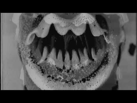 Video thumbnail for EAT ME