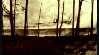 Those poor bastards - Sick and alone