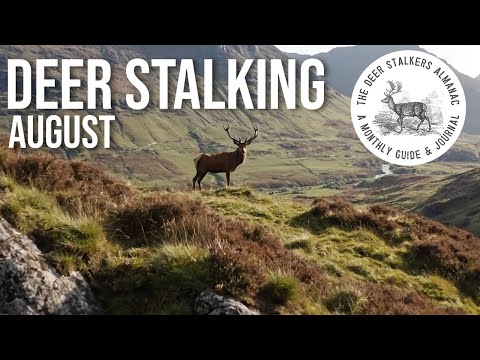 August - Everything You Need to Know | Deer Stalkers Almanac