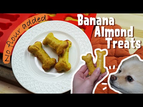 Banana Almond Treat | Homemade Treat for Dog | MyPetcipe