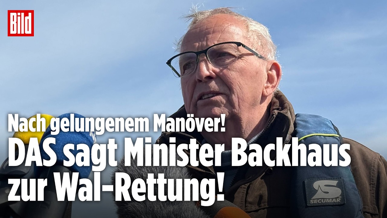 WAL TIMMY: Minister Backhaus äußert sich zur Walrettung in der Ostsee!