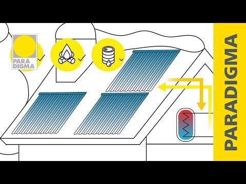 Was macht Paradigma anders als die anderen?