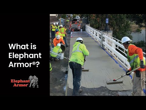 What is Elephant Armor?