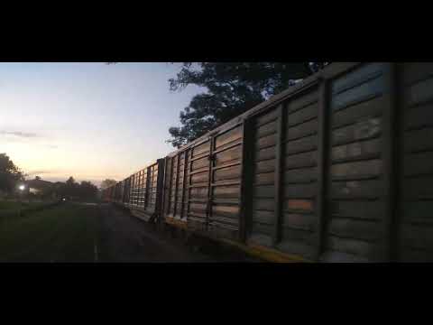 TREN DE CARGA ...PASANDO POR PCIA DE LA PLAZA CHACO AÑO 2026 HOY 13 .01. 2026