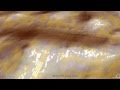 Evidence of Alien life on Mars -- Explain this NASA ...