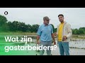 Wat zijn gastarbeiders?