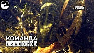 Диалоги о рыбалке в тайге