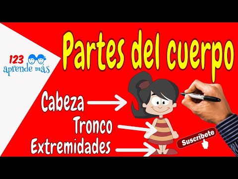 Partes del CUERPO HUMANO  para niños. (cabeza, tronco y extremidades) 👫 👈