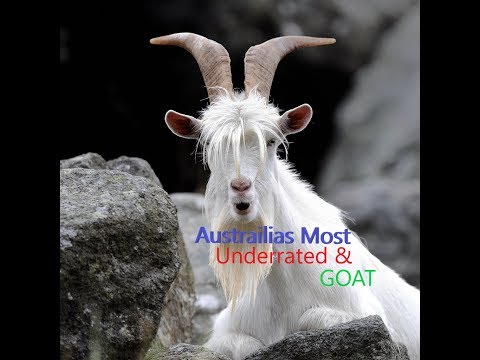 Aussie Rappers - ChillinIT x Wombat - Underrated - American Reaction (GOAT)