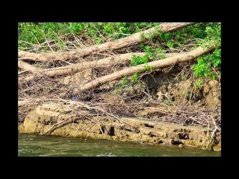 Iulie 2014 Dunare.Giurgeni