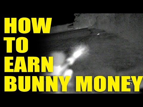 How to Earn ‘Bunny Money’ How to Earn ‘Bunny Money’