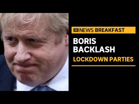 Report into Downing Street lockdown parties released | ABC News