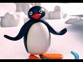 Pingu